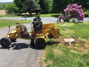 stump grinding Wescosville