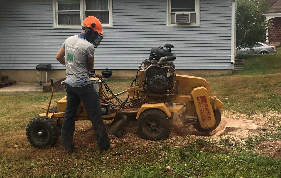 tree service new tripoli pa
