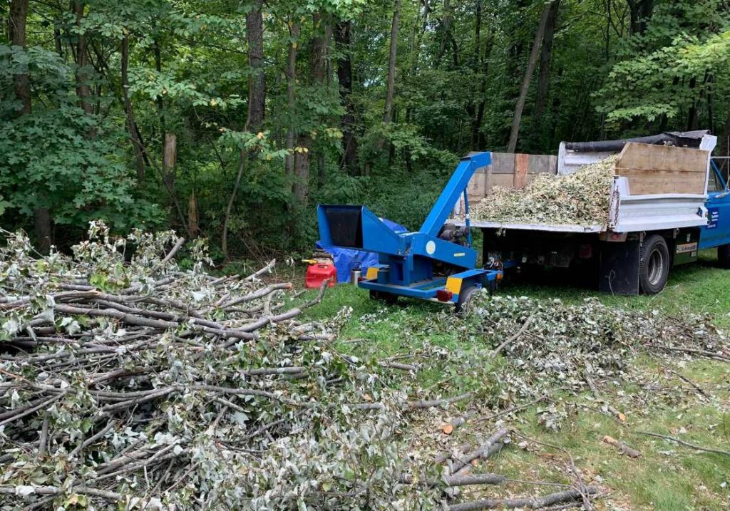 Tree removal in Hamburg, PA